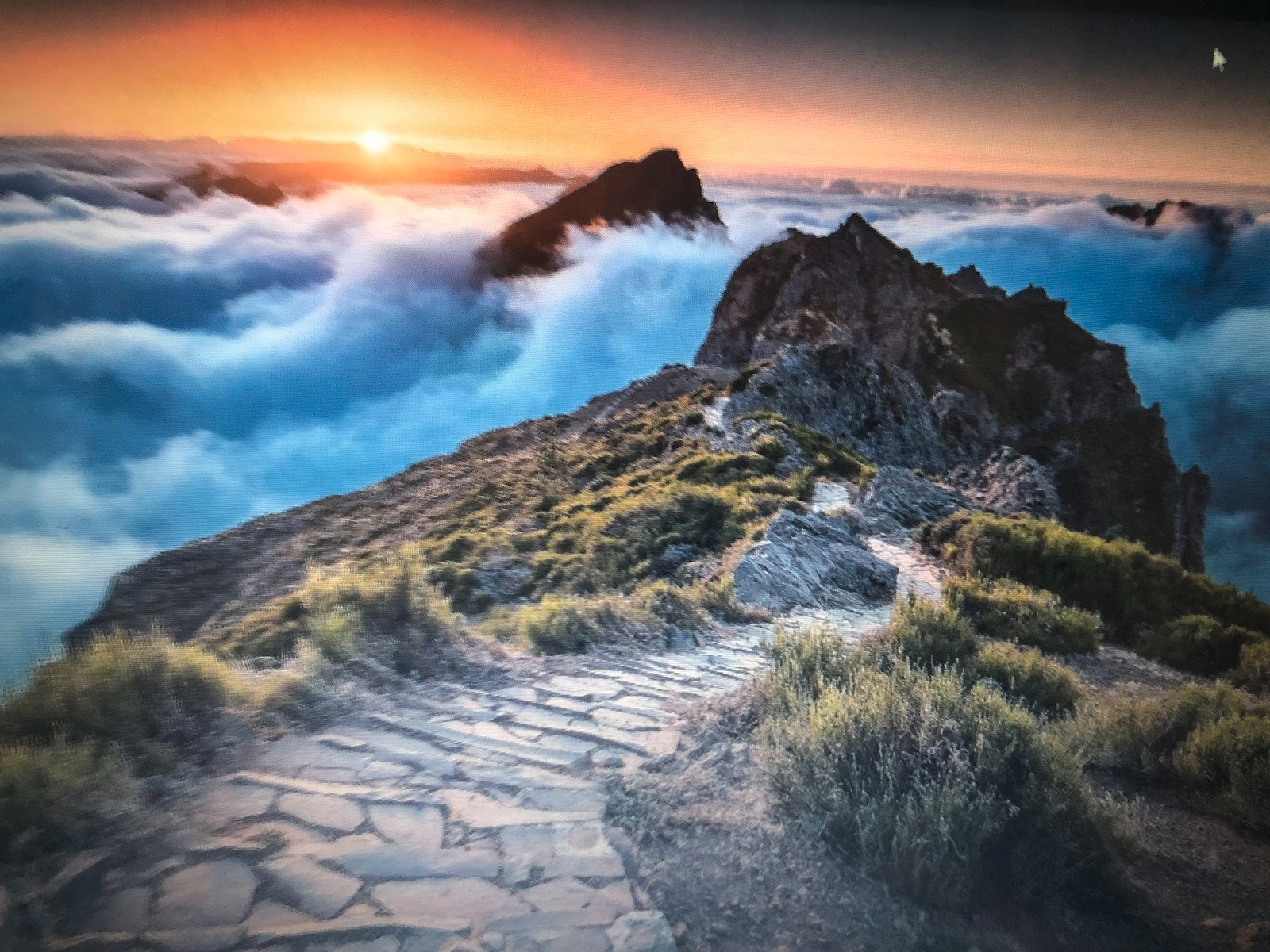 Places we've never been